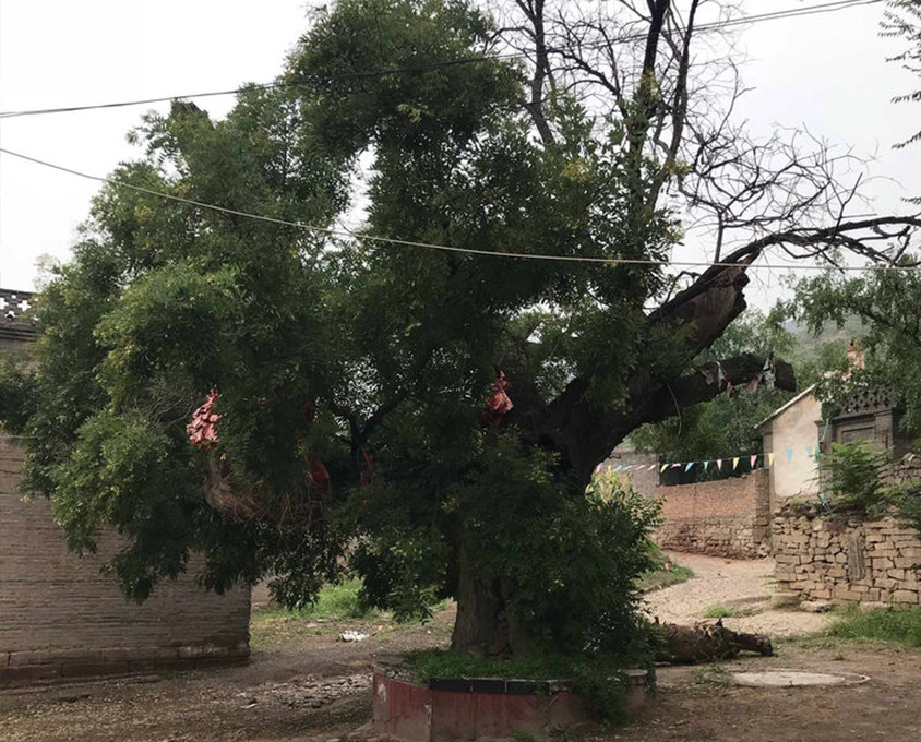北徐村尋訪壽寧寺